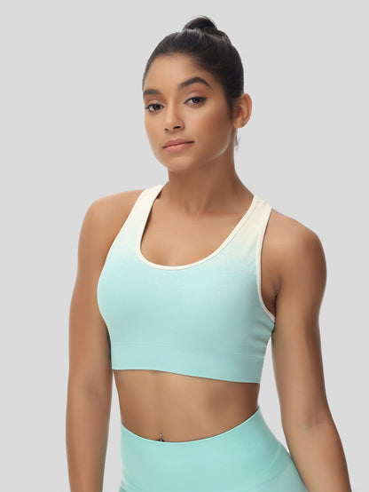 Ombre Crop Tank Top