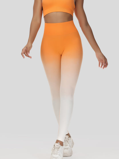 Ombre Butt Lifting Legging